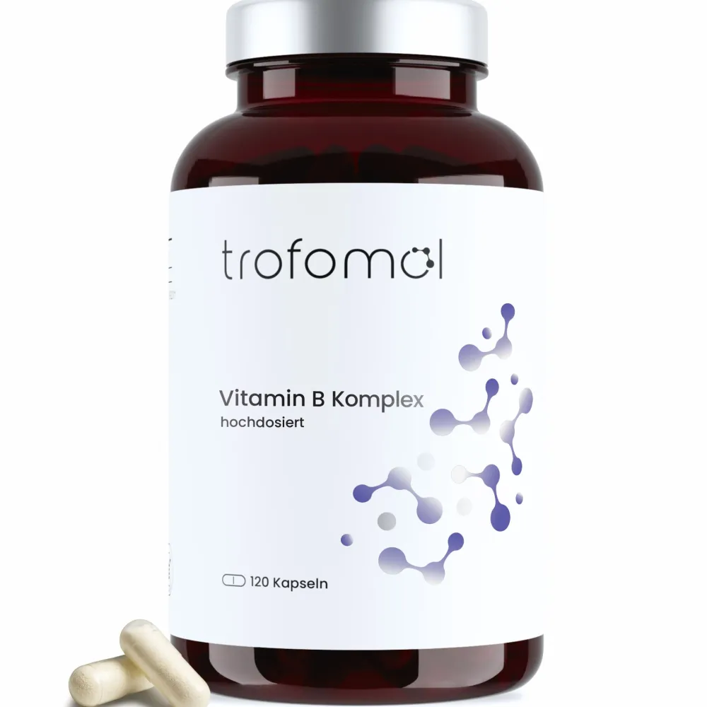 Vitamin B Komplex, B1, B2, B3, B5, B6 und B12 - All-in>trofomol New