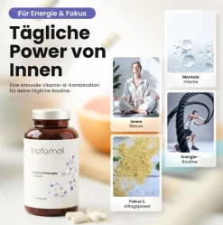 Vitamin B Komplex, B1, B2, B3, B5, B6 und B12 - All-in>trofomol New
