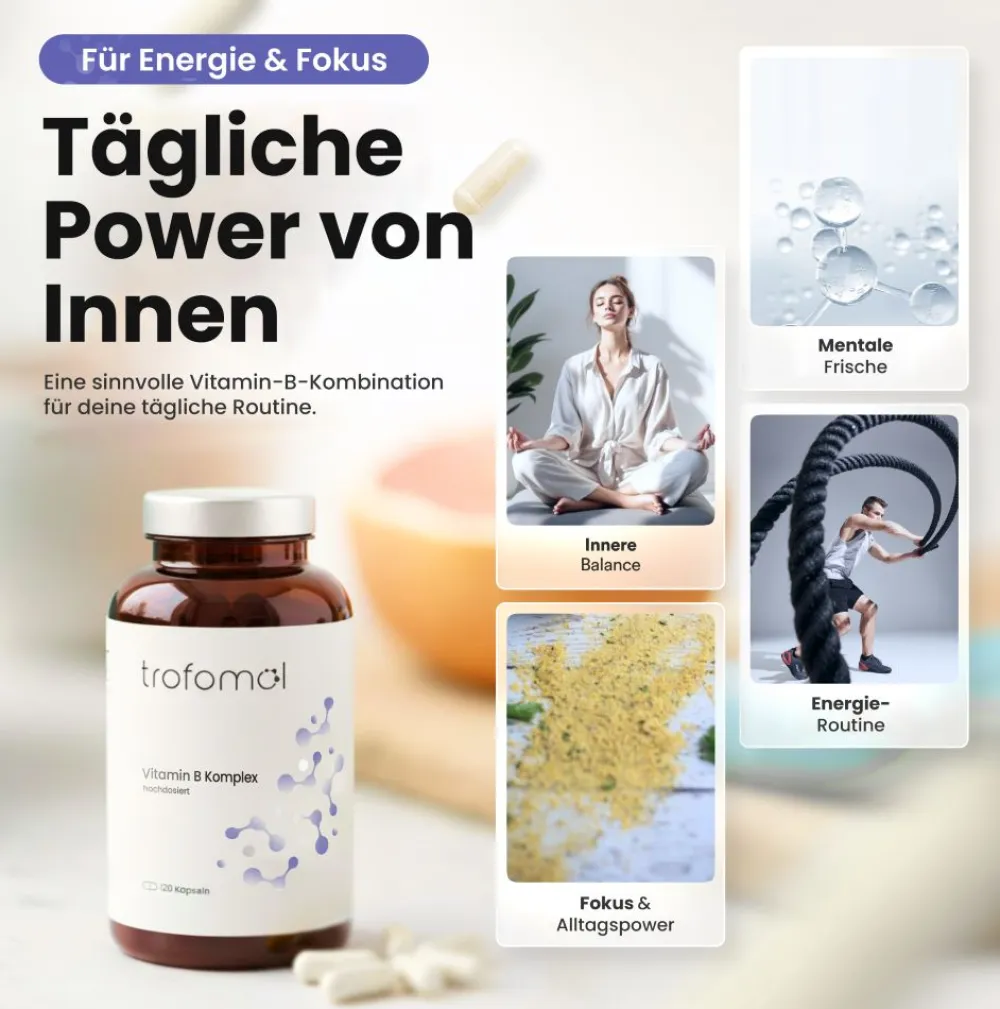 Vitamin B Komplex, B1, B2, B3, B5, B6 und B12 - All-in>trofomol New