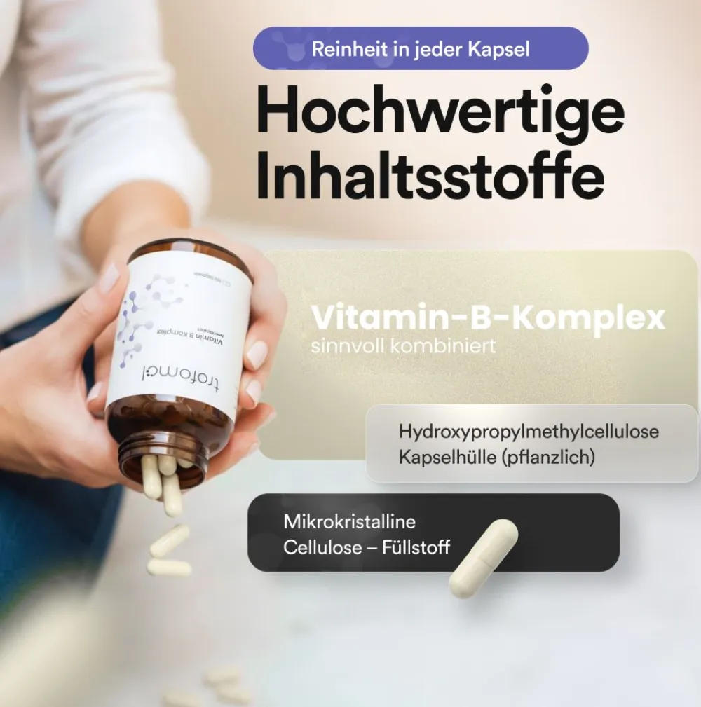 Vitamin B Komplex, B1, B2, B3, B5, B6 und B12 - All-in>trofomol New