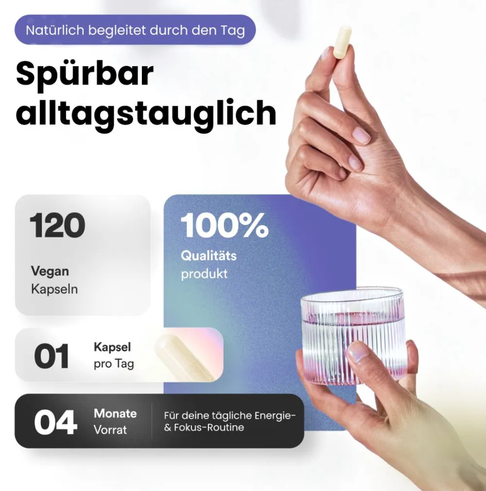Vitamin B Komplex, B1, B2, B3, B5, B6 und B12 - All-in>trofomol New