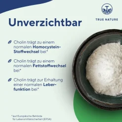 ® Cholinbitartrat Kapseln - Cholin hochdosiert - 3 Monate Vorrat><noscript><img width=