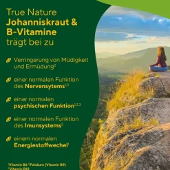 ® Johanniskraut Extrakt Kapseln mit Vitamin B6, B12 & Folsäure><noscript><img width=