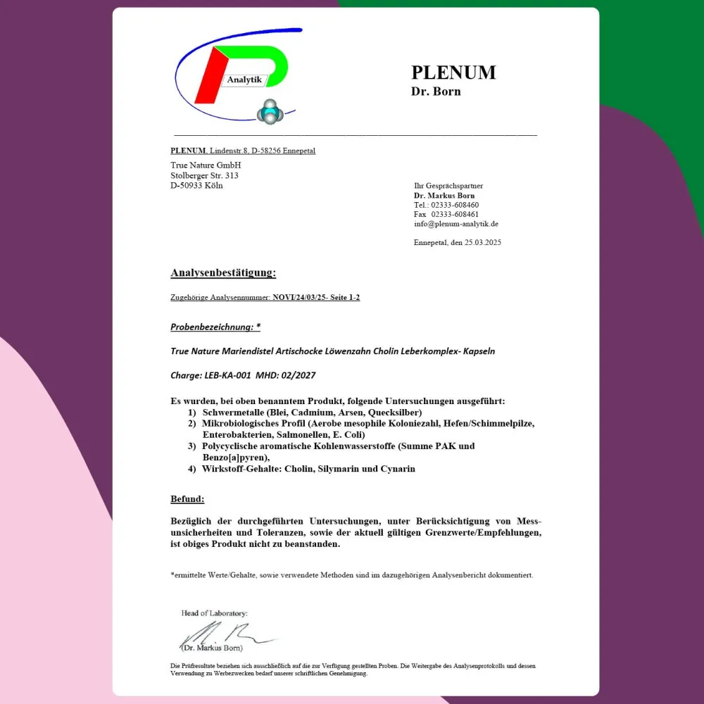 ® Leber Komplex Testsieger - Leber Kur mit Mariendistel, Cholin, Artischocke & Löwenzahn>TRUE NATURE Hot