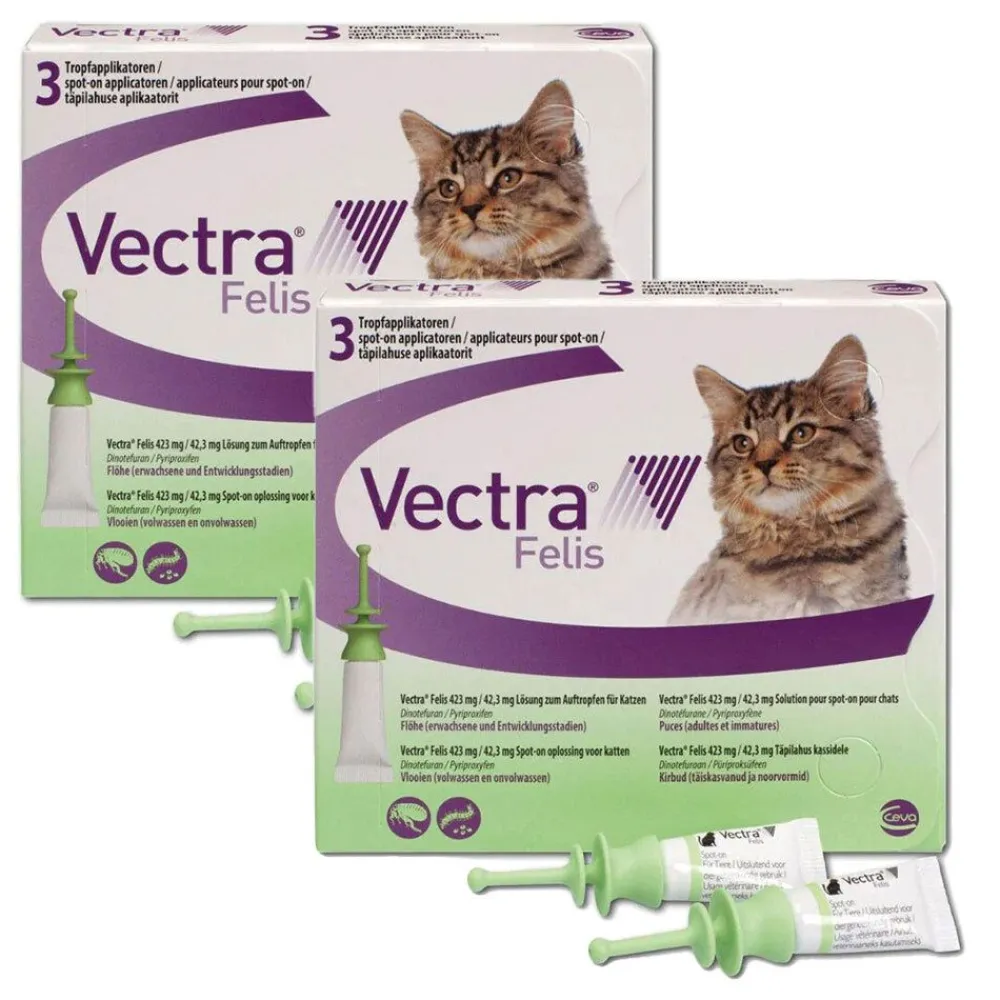 Vectra Felis 423mg/42,3mg für Katzen| Online