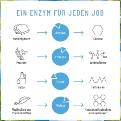 Verdauungsenzyme Enzym Komplex 120 vegane Kapseln Protease α-Amylase Lipase Enzymhelden NATURTREU®><noscript><img width=