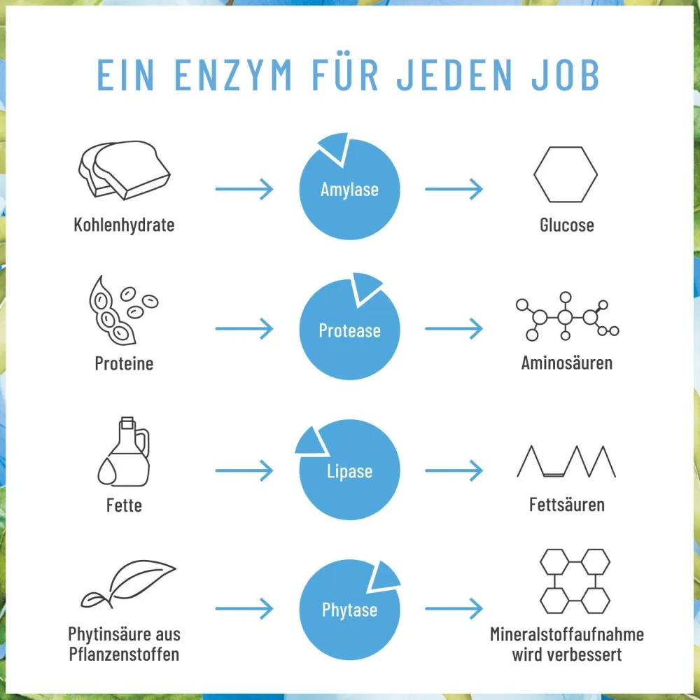 Verdauungsenzyme Enzym Komplex 120 vegane Kapseln Protease α-Amylase Lipase Enzymhelden NATURTREU®> Clearance