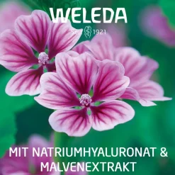 Visiodoron Malva® Augentropfen in Monodosen bei trockenen und gereizten Augen><noscript><img width=