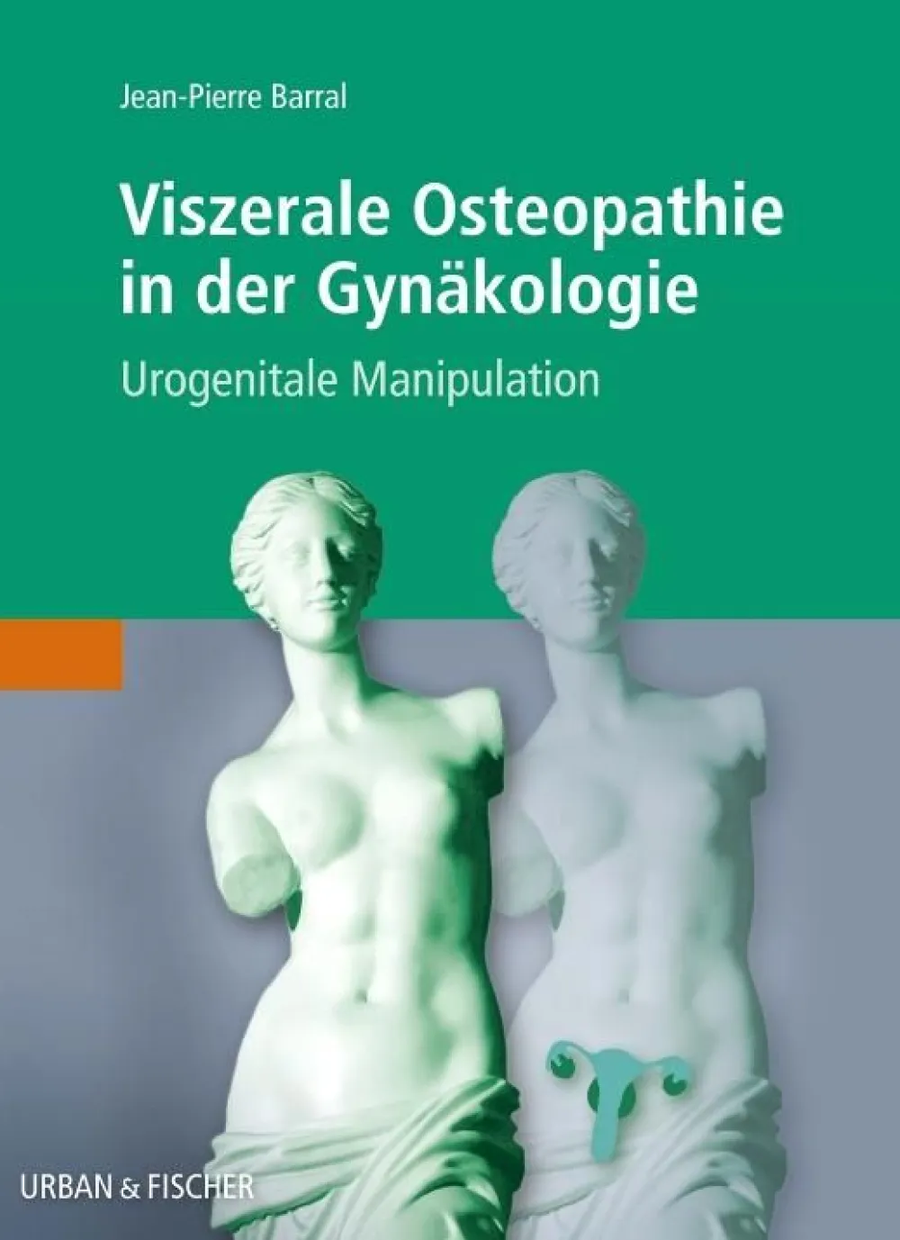 Viszerale Osteopathie in der Gynäkologie Urogenitale Manipulation> Clearance