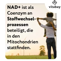NAD+ 1000 mg Trans-Resveratrol 600 mg liposomal - hochdosiert|vitabay Online