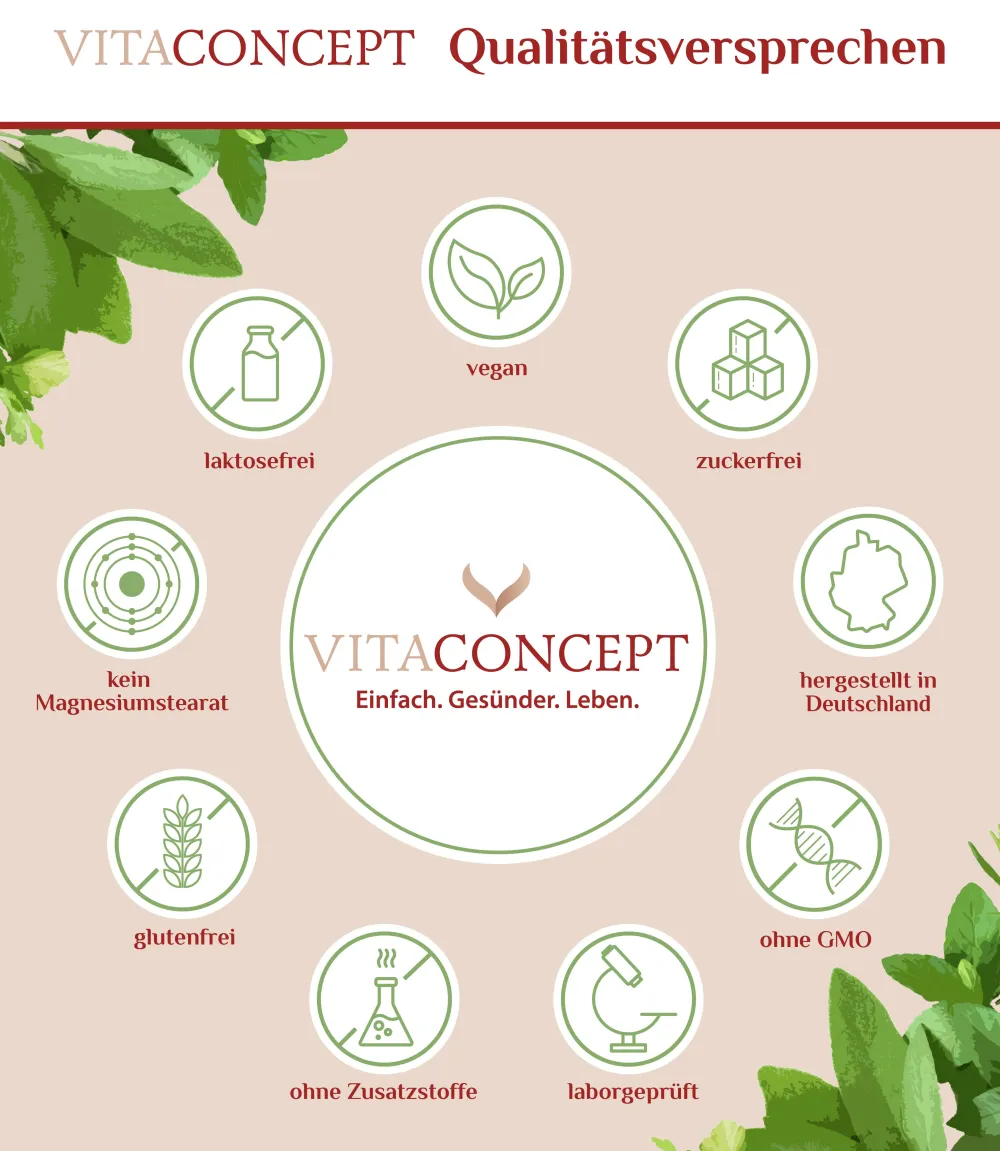 VITACONCEPT Johanniskraut> Online