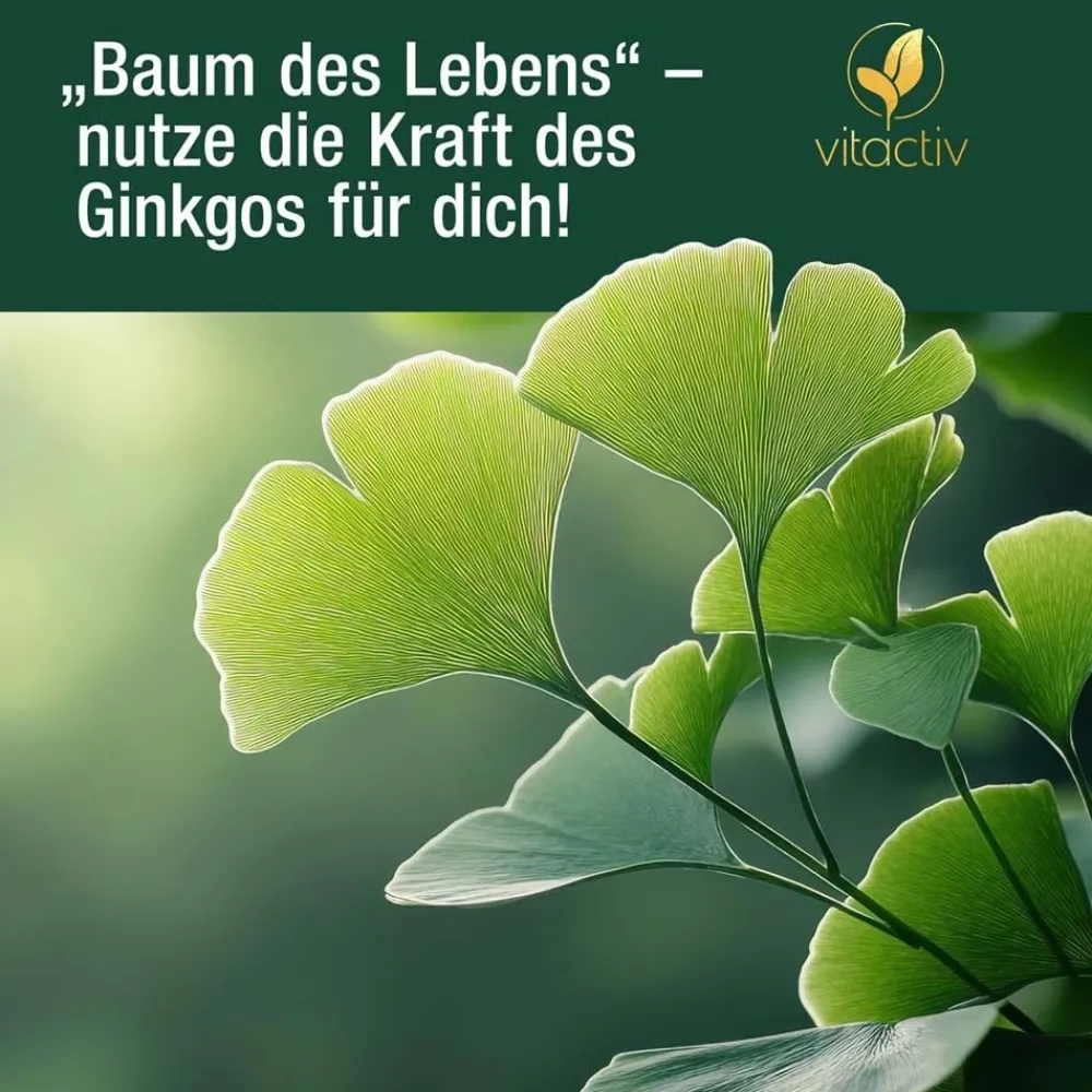Ginkgo + Ginseng + B12>Vitactiv Clearance