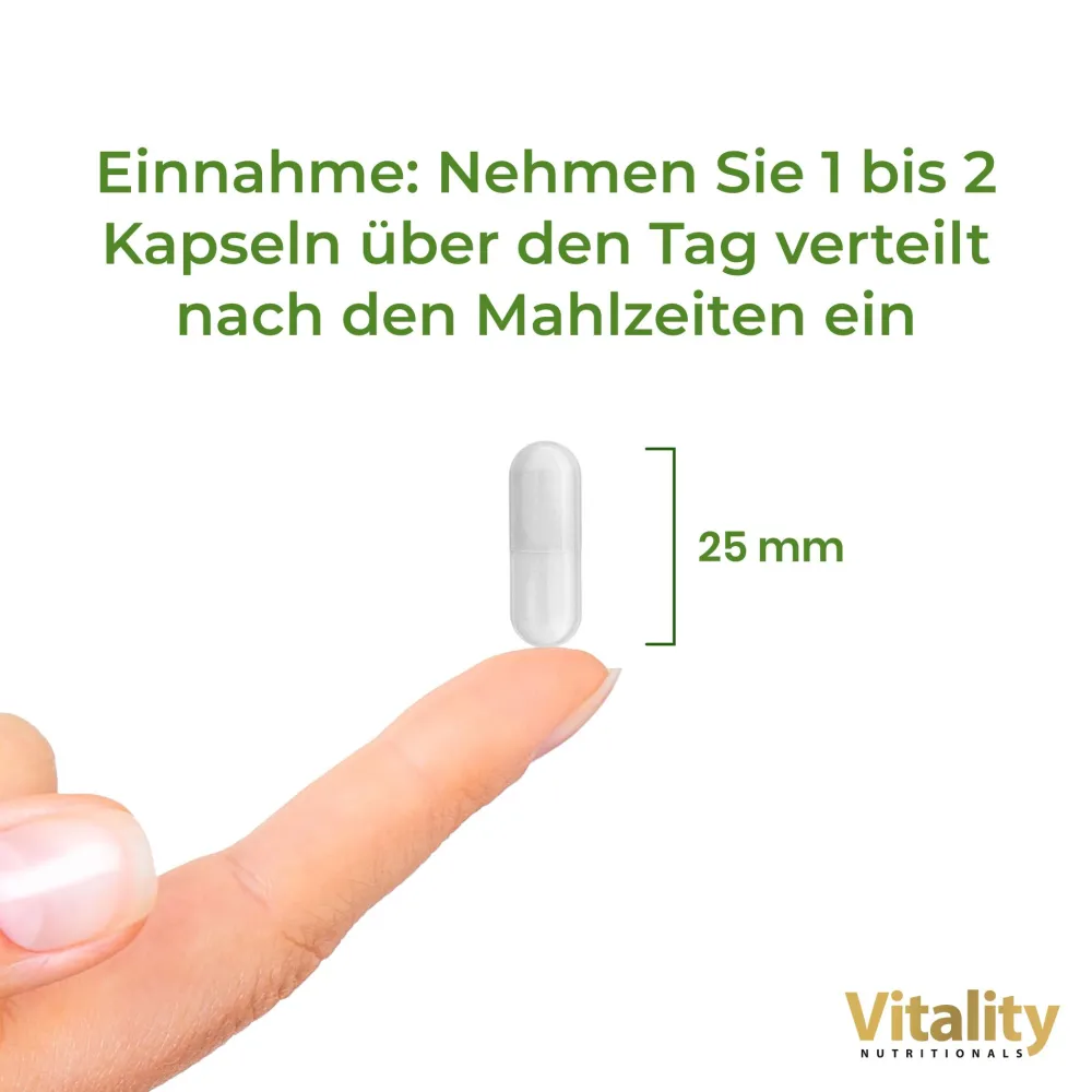 Vitality Nutritionals Ultra Pure MSM Kapseln> Hot