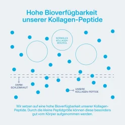 Collagen Peptides 567 g – bioaktive Kollagen-Peptide Typ 1 - reines Kollagen-Hydrolysat|Vital Proteins