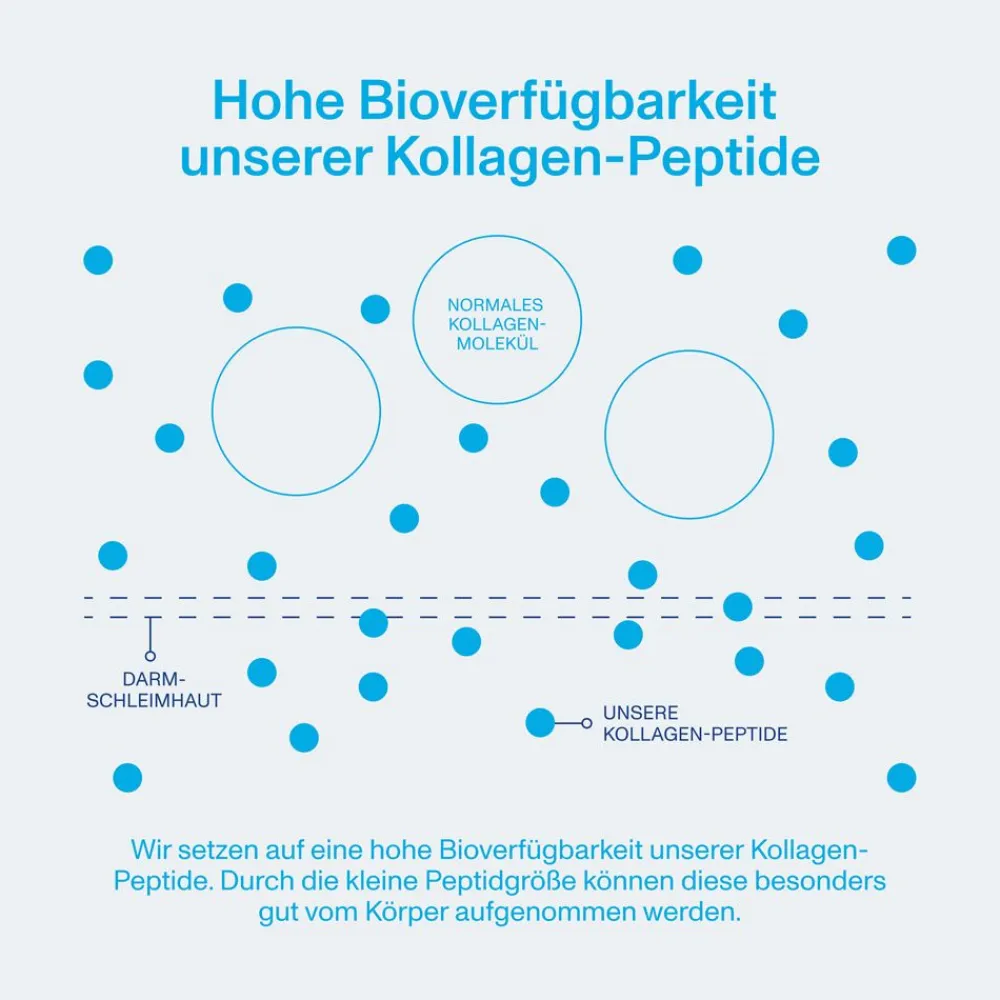 Collagen Peptides 567 g – bioaktive Kollagen-Peptide Typ 1 - reines Kollagen-Hydrolysat|Vital Proteins