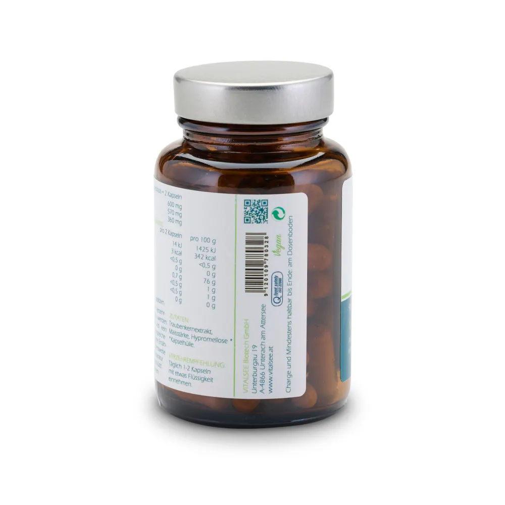 Vitalsee TRAUBENSILBERKERZE 160| Hot
