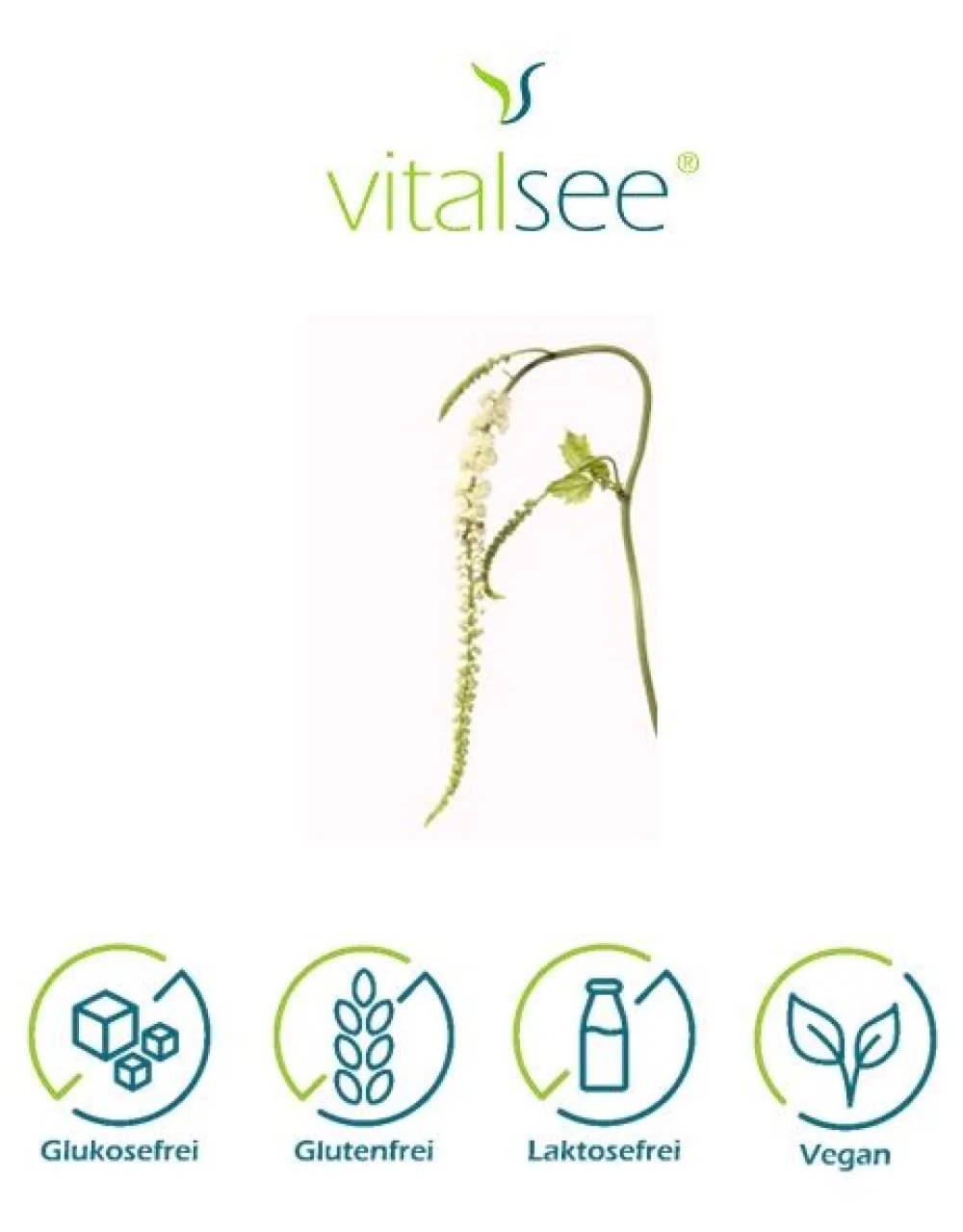 Vitalsee TRAUBENSILBERKERZE 160| Hot