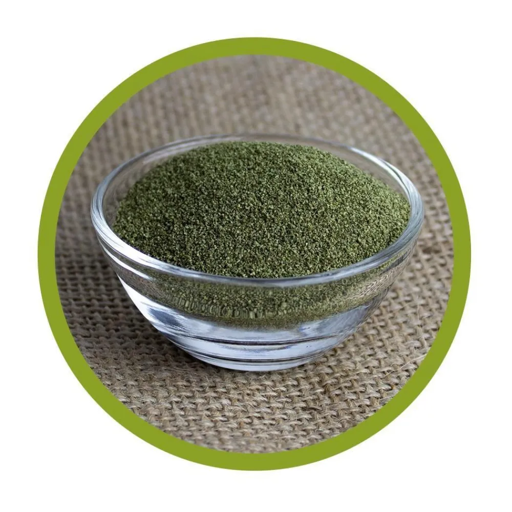 vitalundfitmit100® Bio Kelp Pulver| Online