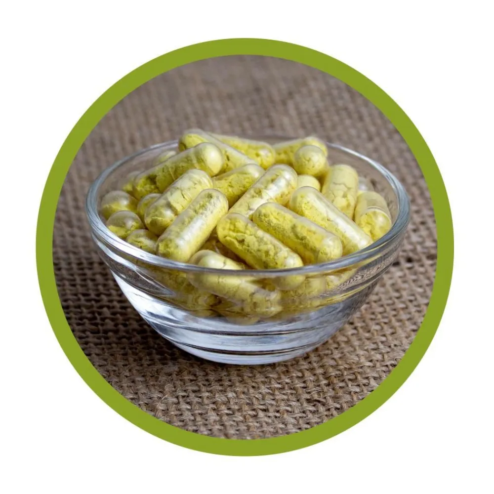 ® Vitamin B Komplex (B1-B12) Kapseln|vitalundfitmit100 Hot