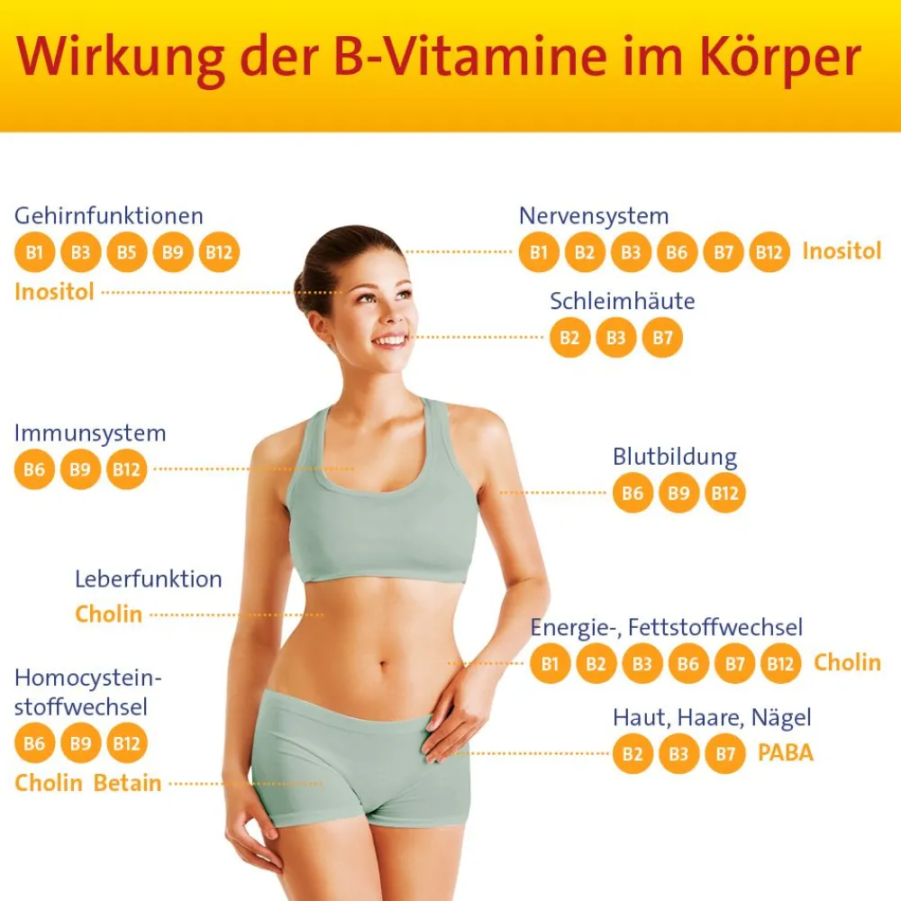 Vitamin B Complete Hevert® All-in-One|
