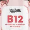 Vitamin B12 hochdosiert – B12 Komplex mit B6, Folsäure und Chlorella (180 Kapseln)|YesVegan Best