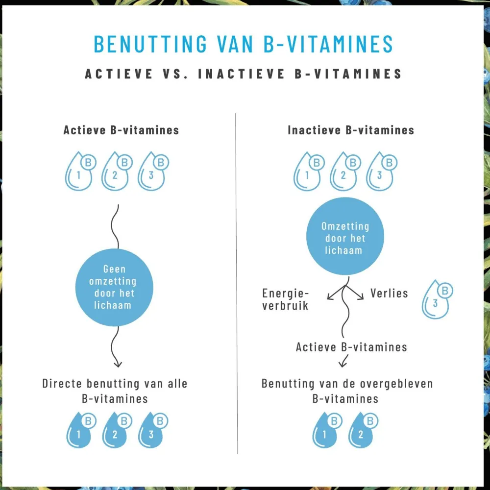 Vitamin B Komplex 8 B-Vitamine 3 Cofaktoren 120 vegane Kapseln Nervenstark ®|NATURTREU Discount