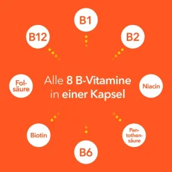 Vitamin B-Komplex-® Hartkapseln: Gut versorgt mit allen 8 B-Vitaminen in nur einer Kapsel. B-Vitamine für Energie* und Vitalität** - Jetzt 20% mit dem Code 20 sparen*><noscript><img data-lazyloaded=