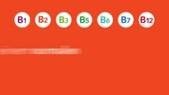 Vitamin B-Komplex-® Hartkapseln: Gut versorgt mit allen 8 B-Vitaminen in nur einer Kapsel. B-Vitamine für Energie* und Vitalität** - Jetzt 20% mit dem Code 20 sparen*><noscript><img data-lazyloaded=