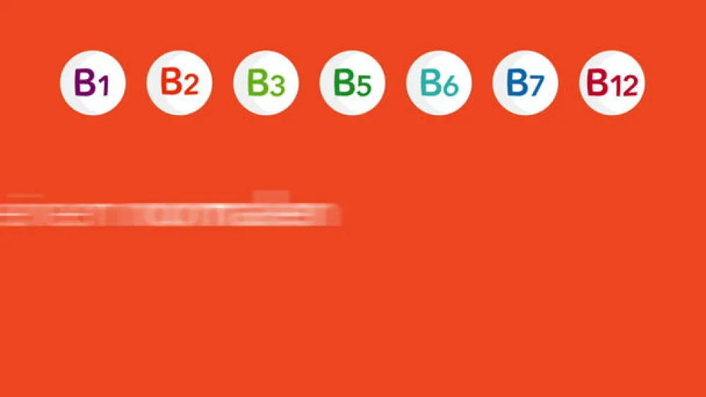 Vitamin B-Komplex-® Hartkapseln: Gut versorgt mit allen 8 B-Vitaminen in nur einer Kapsel. B-Vitamine für Energie* und Vitalität** - Jetzt 20% mit dem Code 20 sparen*>ratiopharm Online