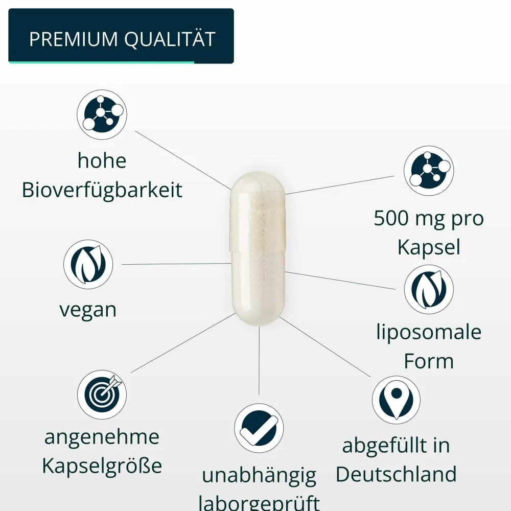 Vitamin C 500 mg pro Kapsel – liposomal, hochdosiert & rein | ® Made in Germany | 120 Stk.>brandl Sale