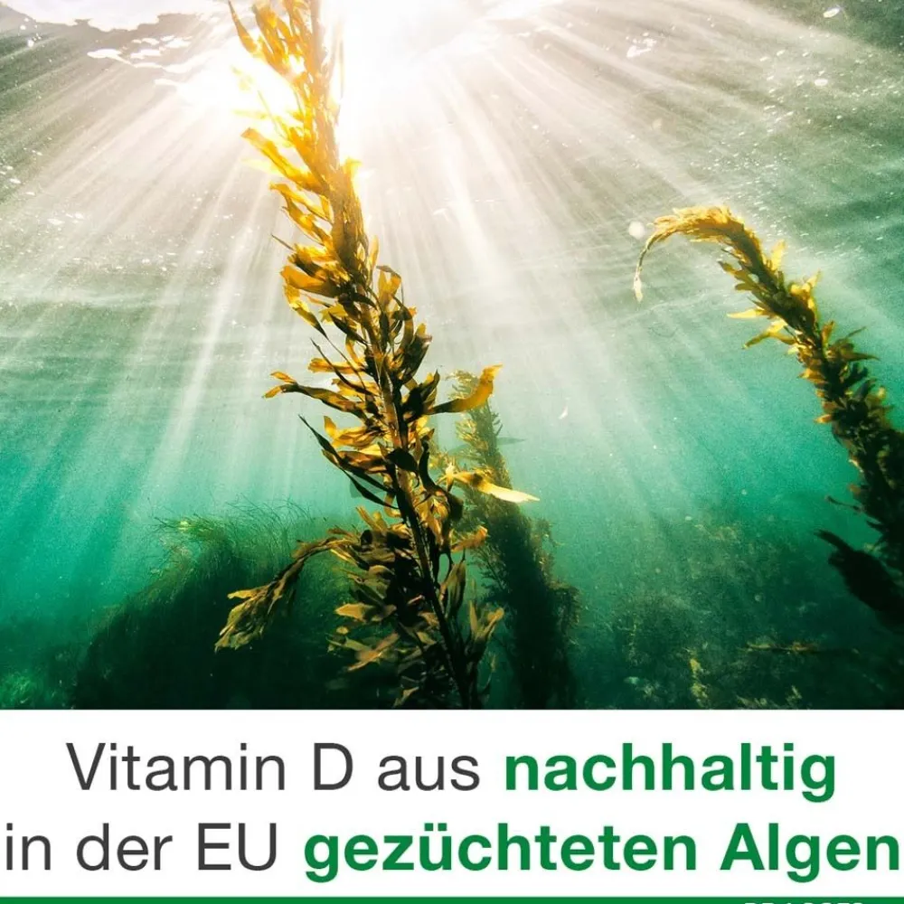 vitamin D-Loges® 7.000 I.E pflanzlich| Hot