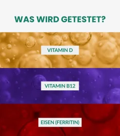 Vitamin D Test, Vitamin B12 Test & Eisenmangel Test (vollwertiger Labortest)><noscript><img width=
