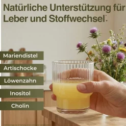 Vitapow Leber Komplex - Mariendistel, Artischocke, Löwenzahn, Cholin, Inositol| New