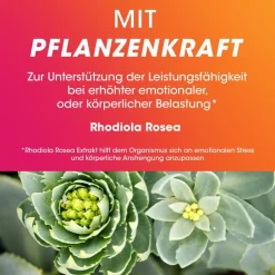 Duo Energie 2-Phasen-Tablette - Vitamin B-Komplex hochdosiert - Jetzt 20% mit dem Code Vitamine20 sparen*|vitasprint New