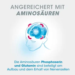 Fokus Direktsticks – Vitamin B5 für mentale Leistungsfähigkeit - Jetzt 20% mit dem Code Vitamine20 sparen*|vitasprint Online
