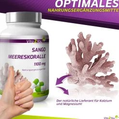 Sango Meereskoralle Kapseln Magnesium & Kalzium><noscript><img width=