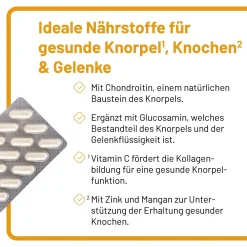 Vitazell®-Arthro Kapseln| Best
