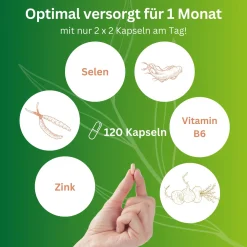 vitelly Cordyceps Man Kapseln – mit Cordyceps, Zink und B-Vitaminen für Männer| Discount