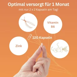 vitelly Cordyceps Woman® Zyklus Kapseln für Frauen mit Kinderwunsch ausreichend für einen Monat!><noscript><img width=