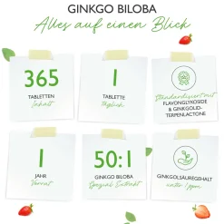 Ginkgo Biloba 6000 mg>vit4ever Clearance