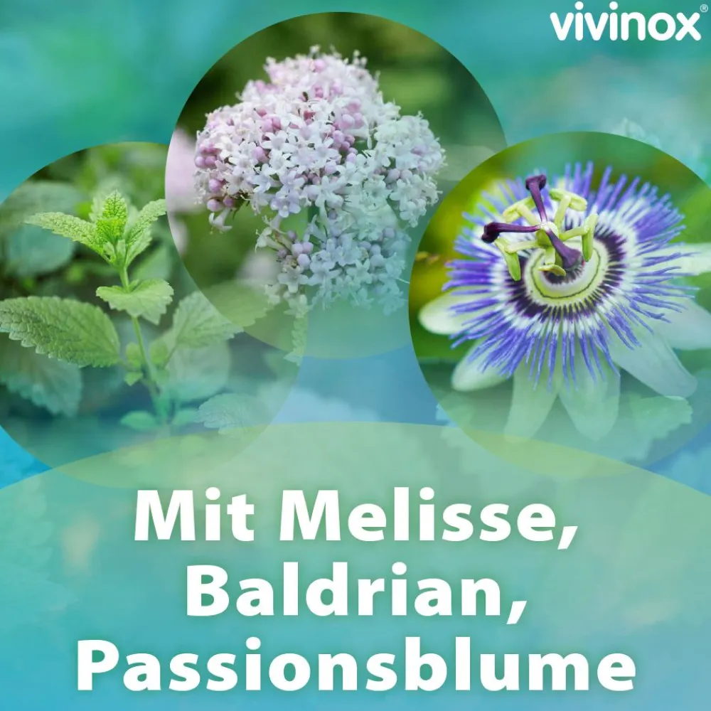 ® Nervenruhe>Vivinox Outlet