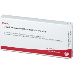® Glandula Supraren. SINISTRA/ Mercurius Amp.><noscript><img width=