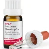 ® Levisticum Ohrentropfen|Wala Sale