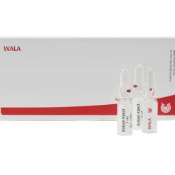 ® MESENCHYM/ Calcium Carb. Comp. Amp.>Wala New