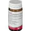 ® PANCREAS/ Equisetum Globuli>Wala Hot
