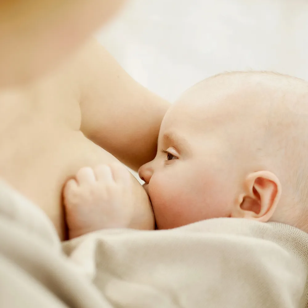 Bio Stilltee - wohltuende Bio-Kräuterteemischung fördert eine harmonische Stillbeziehung|WELEDA Sale