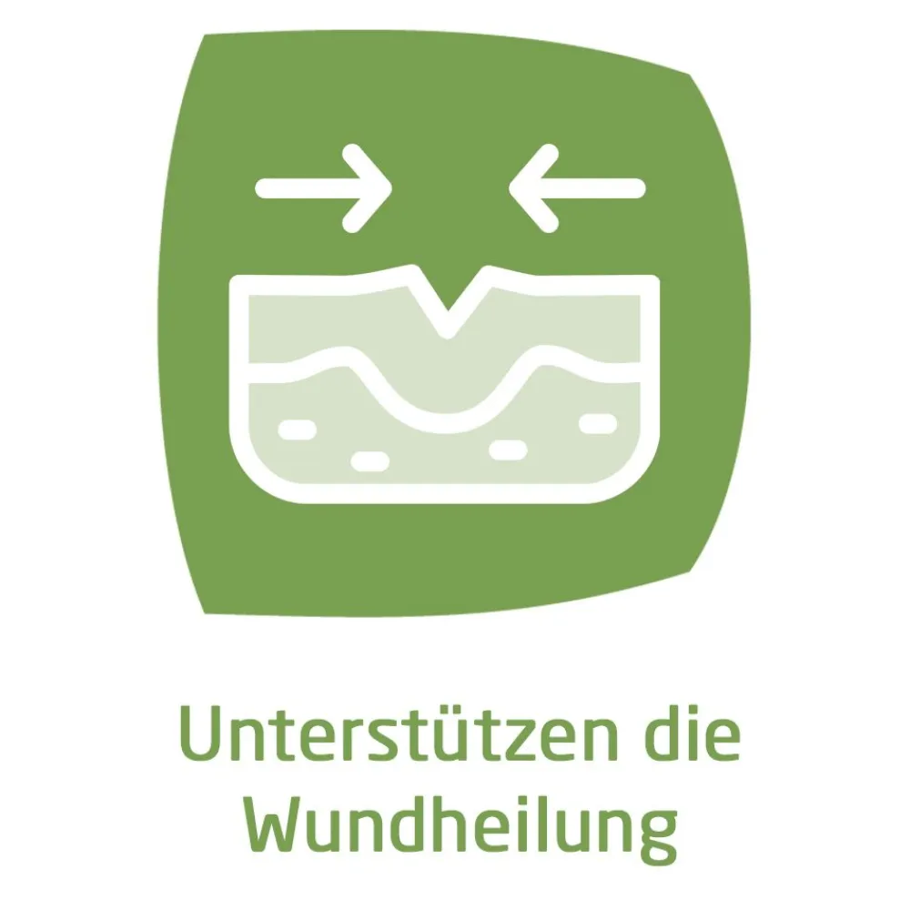 Hämorrhoidalzäpfchen zur schmerz- und juckreizlindernden Behandlung von Hämorrhoiden|WELEDA Outlet
