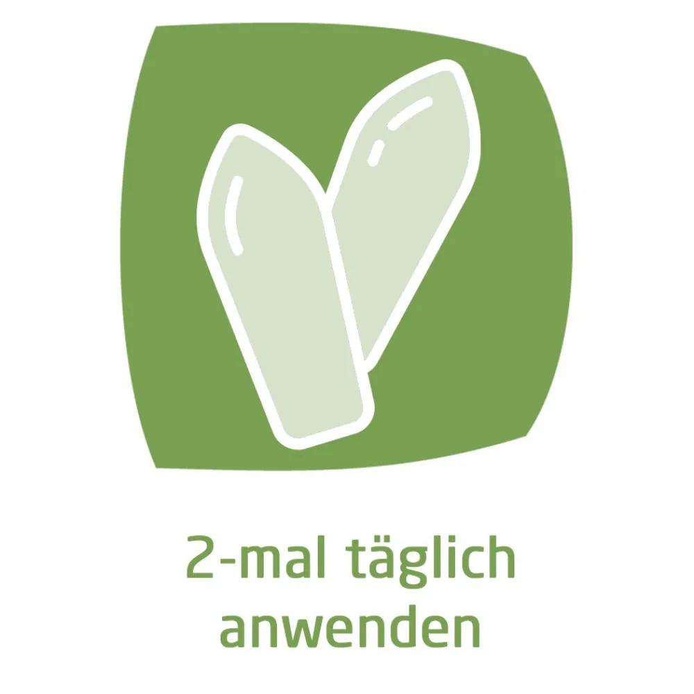 Hämorrhoidalzäpfchen zur schmerz- und juckreizlindernden Behandlung von Hämorrhoiden|WELEDA Outlet