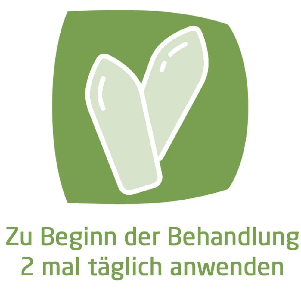 Hämorrhoidalzäpfchen zur schmerz- und juckreizlindernden Behandlung von Hämorrhoiden|WELEDA Outlet
