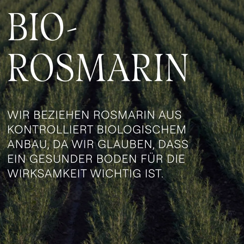 Rosmarin Shampoo - ohne Silikone, mit Hyaluronsäure & Bio-Rosmarinöl für Volumen & Pflege|WELEDA Hot